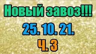 🌸Продажа орхидей. ( Завоз 25. 10. 21 г.) 3 ч. Отправка только по Украине. ЗАМЕЧТАТЕЛЬНЫЕ КРАСОТКИ👍