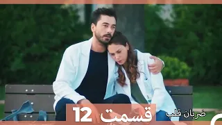 Zarabane Ghalb - ضربان قلب قسمت 12 (Dooble Farsi) HD