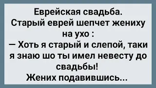 Слепой Еврей На Свадьбе! Сборник Свежих Анекдотов! Юмор!