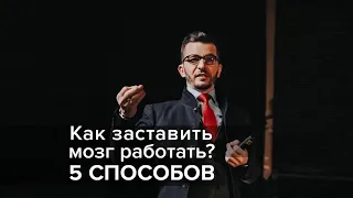 5 способов заставить мозг работать, А.В. Курпатов