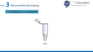 Microsatellite Genotyping