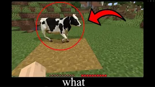 Minecraft wait what meme (realistic cow)