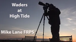 Photographing the High Tide Wader Roost at Snettisham