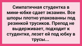 Студентка Положила Шпоры в Трусики! Сборник Свежих Смешных Жизненных Анекдотов!