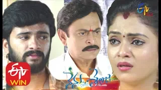 Nenu Sailaja | Song Promo  2 | 19th December 2019 | ETV Plus