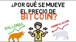 Por qué el bitcoin sube y baja de precio   🤷🏻‍♂️