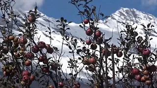 Harsil Uttarakhand | A Beautiful Documentary | Heavenly journeys