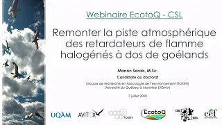 Webinaire #2 -Remonter la piste atmosphérique des retardateurs de flamme halogénés à dos de goélands