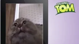 Talking Tom VS NoNoNoNo Cat