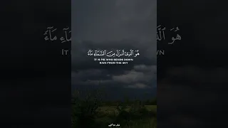 القارئ الشيخ ياسر الدوسري | سورة النحل 🤍🎧