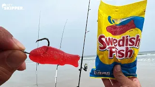 Using Swedish Fish Candy To Catch EVERY SPECIES of Fish? (Beach Fishing w/ Candy For Bait!)
