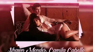 Shawn Mendes, Camila Cabello - Señorita (Jenia Smile & Ser Twister Remix)