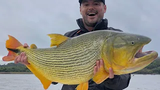 LaZona Golden Dorado Fishing day part1 ARGENTINA