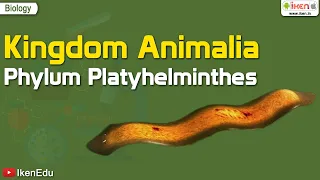 Kingdom Animalia: Phylum Platyhelminthes | Biology | iKen | iKenEdu | iKenApp