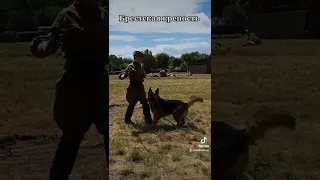 21 ИЮНЯ В БРЕСТСКОЙ КРЕПОСТИ ...