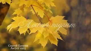 Листья падают... Сергей Есенин || Стихи о Любви