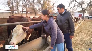 Семейный сельскохозяйственный бизнес братьев из села Бирлик | Малая родина