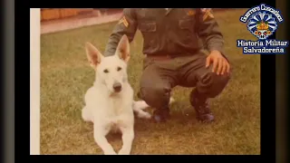 Ouragan el perro paracaidista de El Salvador