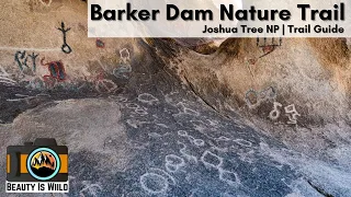 Barker Dam trail Joshua Tree National Park | Check Out the Historical Petroglyphs!