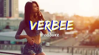 Verbee - в падике