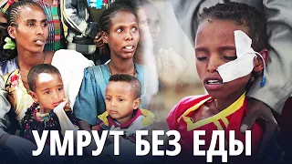 100 000 эфиопских детей могут умереть от голода в регионе Тыграй