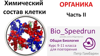 2. Химия клетки часть II (Speedrun общая биология 9-11 класс, ЕГЭ, ОГЭ 2021)