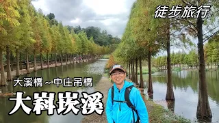 Dakekan River Walking Tour ~ Daxi Bridge, Boat Mooring Stone, Yuebei Bald cypress....
