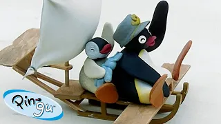 Pingu the Pilot 🐧  | Pingu - Official Channel | Cartoons For Kids