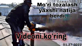 O'zbekistonda Mo'ri tozalash videoni ko'ring va baxo bering.