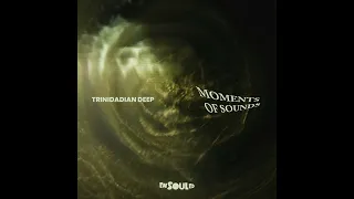 Trinidadian Deep - Movements Of Sounds (Original Mix)
