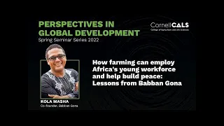 How farming can employ Africa's young workforce and help build peace: Lessons from Babban Gona