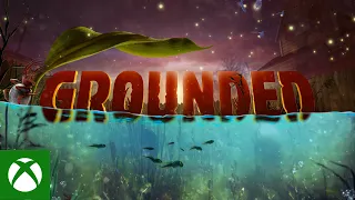 Grounded - The Koi Pond