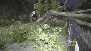 Tornado Causes Damages And Outages In Queens
