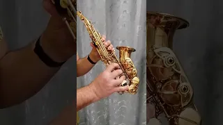 Yanagisawa curved soprano saxophone