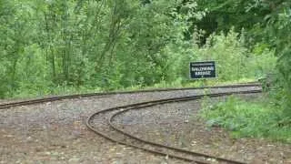 Echills Wood Railway Standard Gauge Weekend 2013 - 22nd June 2013