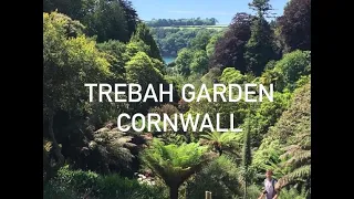 Trebah garden visit in Cornwall  A sub-tropical paradise