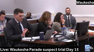 LIVE: Day 15 of the Waukesha Parade suspect trial: Darrell Brooks will continue calling witnesses…
