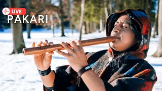 Pakari(Yupanki)-Live Andean Music
