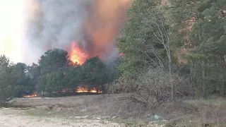 Триває триває гасіння лісової пожежі у с. Дівички