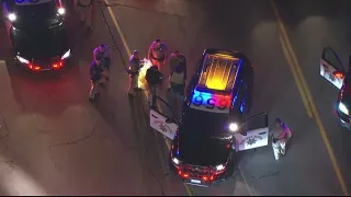 K9 bites police chase suspect in Sherman Oaks