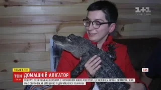 Алігатор, що рятує від депресії: 10-кілограмова рептилія стала хатнім улюбленцем американця