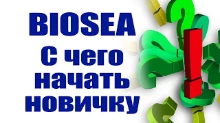 BIOSEA. С чего начать новичку