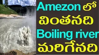 boiling river documentary in telugu |amazon boiling river kills anything enters