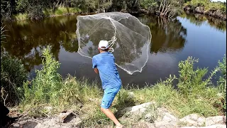 CAST NETTING Hundreds of fish for my pond!!!