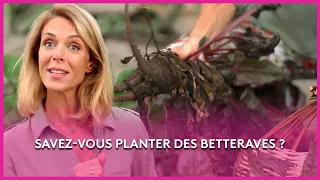 Le potager du marais berrichon - Les Potagers de Julie