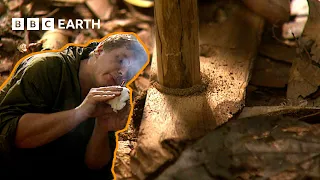 Survival Tips: How To Start A Fire Using Friction | Ray Mears' BushCraft | BBC Earth Explore