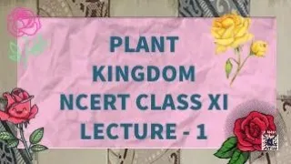 plant kingdom NCERT class XI