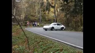 PORSCHE "OFF-ROAD" - RAJD ŻUBRÓW 2012