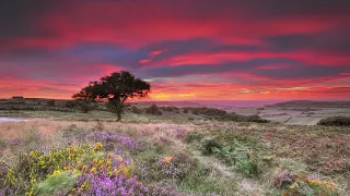 Scarborough Fair  -  The King's Singers