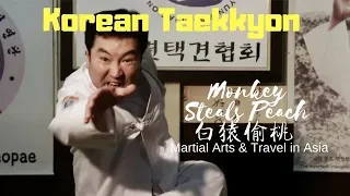 Training Taekkyon: Korea’s Native Martial Art